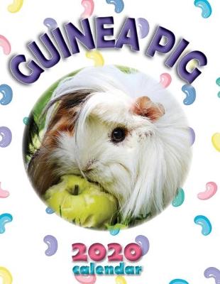 Book cover for Guinea Pig 2020 Calendar