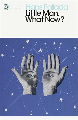 Book cover for Little Man, What Now?