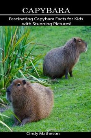 Cover of Capybara