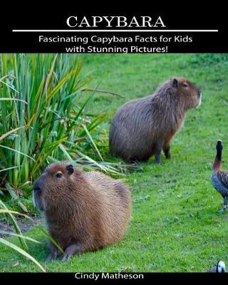 Book cover for Capybara