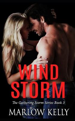 Book cover for Wind Storm