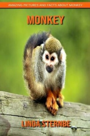 Cover of Monkey