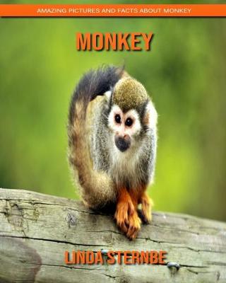 Book cover for Monkey