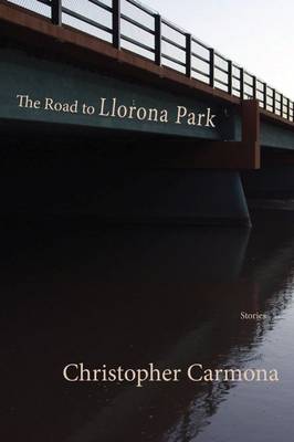 Book cover for The Road to Llorona Park