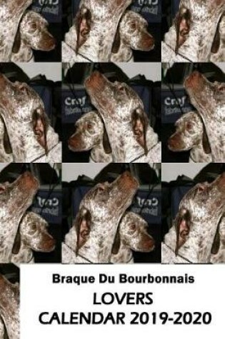 Cover of Braque Du Bourbonnais Lovers Calendar 2019-2020