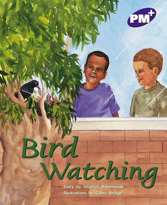 Book cover for Bird Watching