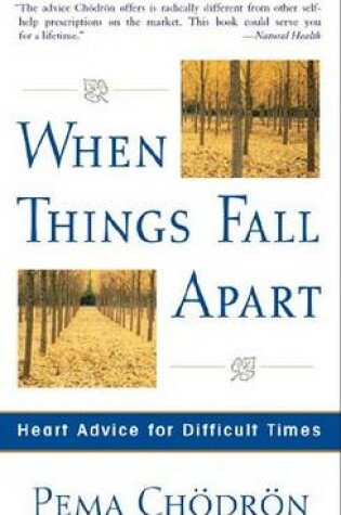 Cover of When Things Fall Apart