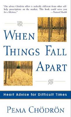 Book cover for When Things Fall Apart