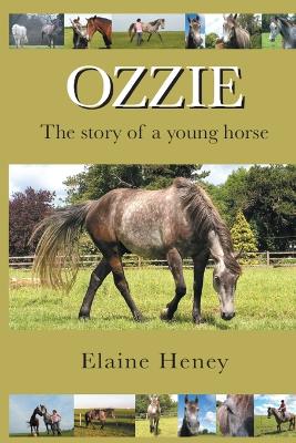 Book cover for Ozzie