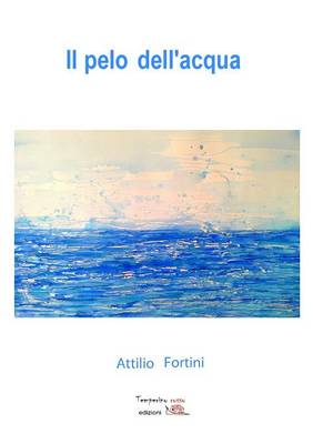 Book cover for Il pelo dell'acqua