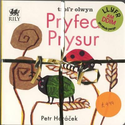 Book cover for Pecyn Nos Da a Pryfed Prysur