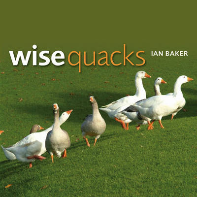 Book cover for Wise Quacks