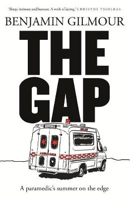 Book cover for The Gap