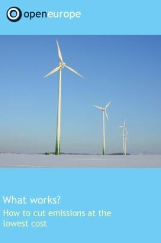 Cover of What Works?  How to Cut Emissions at the Lowest Cost