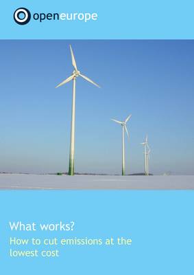 Book cover for What Works?  How to Cut Emissions at the Lowest Cost