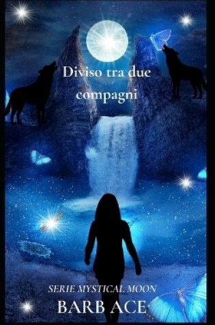 Cover of Diviso tra due compagni