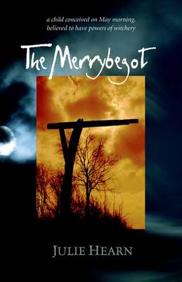 Book cover for Rollercoasters The Merrybegot