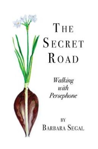 Cover of The Secret Road