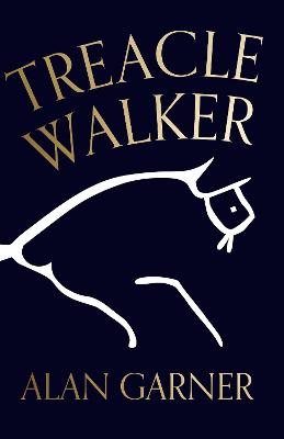 Book cover for Treacle Walker