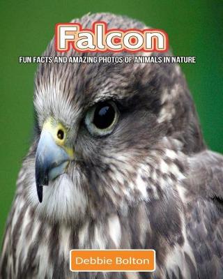 Book cover for Falcon