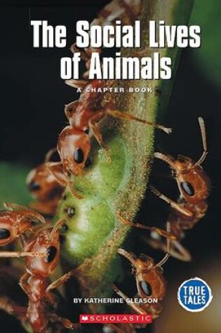 Cover of The Social Lives of Animals