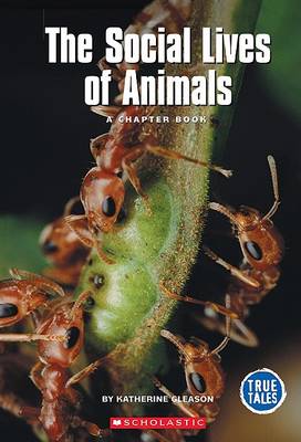 Cover of The Social Lives of Animals