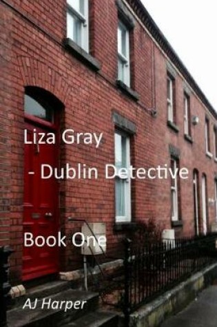 Cover of Liza Gray - Dublin Detective Book One