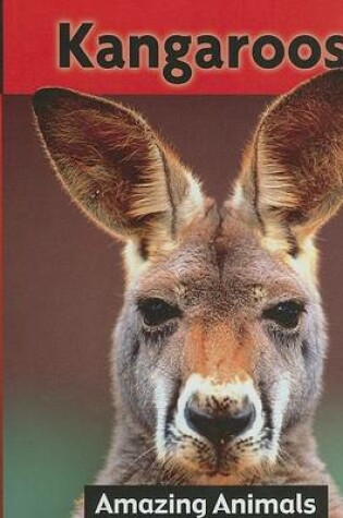 Cover of Kangaroos