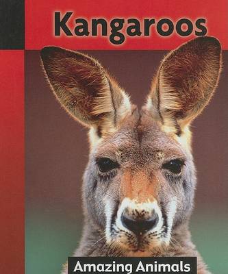 Cover of Kangaroos