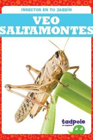 Cover of Veo Saltamontes (I See Grasshoppers)