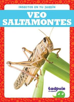 Book cover for Veo Saltamontes (I See Grasshoppers)