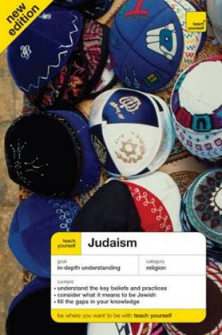 Cover of Teach Yourself Judaism