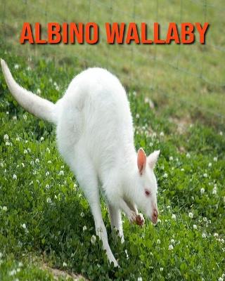 Cover of Albino Wallaby