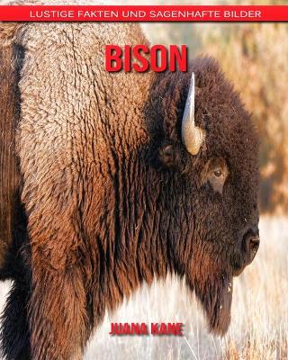 Book cover for Bison