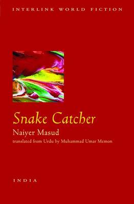 Book cover for Snake Catcher