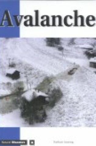 Cover of Avalanches