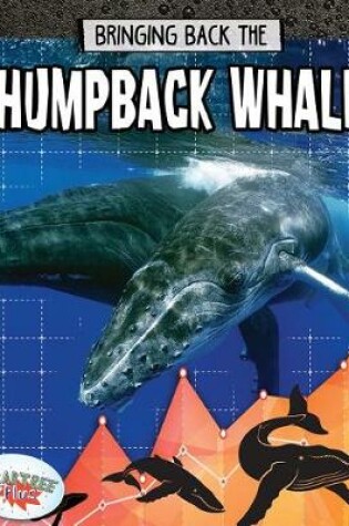 Cover of Bringing Back the Humpback Whale