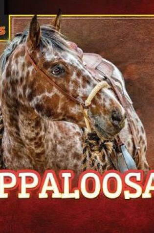 Cover of Appaloosas