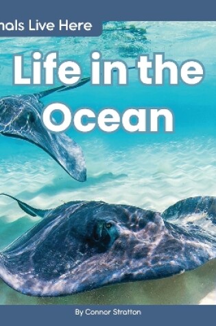 Cover of Animals Live Here: Life in the Ocean