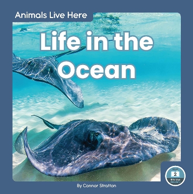 Book cover for Animals Live Here: Life in the Ocean