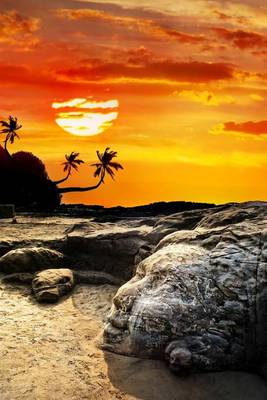 Book cover for Stone Shiva Face on Vagator Beach - Goa, India Journal