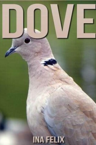 Cover of Dove