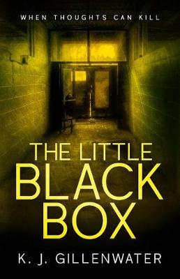 Book cover for The Little Black Box