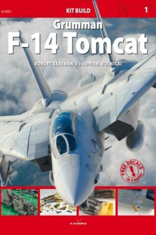 Cover of Grumman F-14 Tomcat