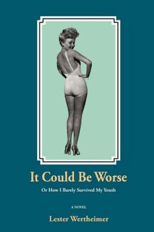 Cover of It Could Be Worse