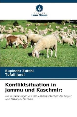 Cover of Konfliktsituation in Jammu und Kaschmir