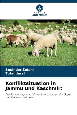 Book cover for Konfliktsituation in Jammu und Kaschmir