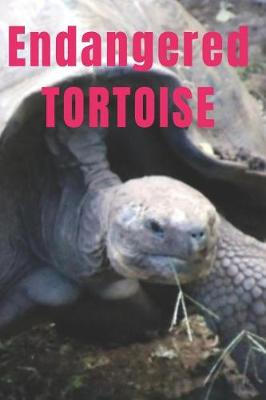 Book cover for Endangered Tortoise