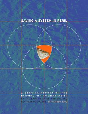 Book cover for Saving a System in Peril