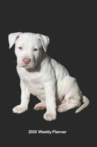 Cover of Plan On It 2020 Weekly Calendar Planner - I Love Pitt Bull Puppies - Yeah I Know I'm Adorable